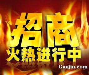 海南菩提自貿商城招商 商務代理代辦服務的機遇與價值